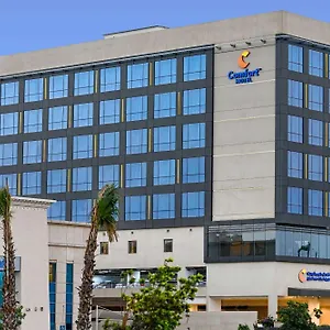 Comfort King Road 3*